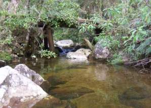 Paisagem natural do Paraná